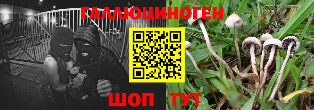 Галлюциногенные грибы мицелий  Вход с VPN  Канаш  Галлюциногенные грибы мицелий 